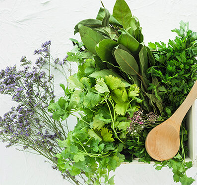 איך לשמור עשבי תיבול טריים יותר