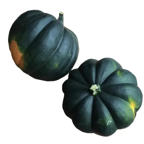 דלעת ערמונים