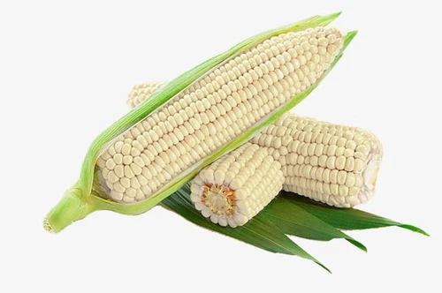 מארז תירס לבן מתוק