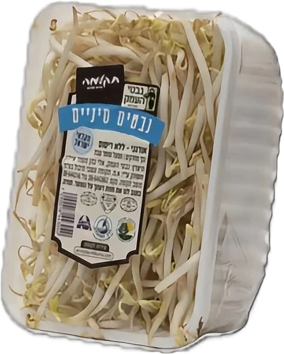 נבטים סינים