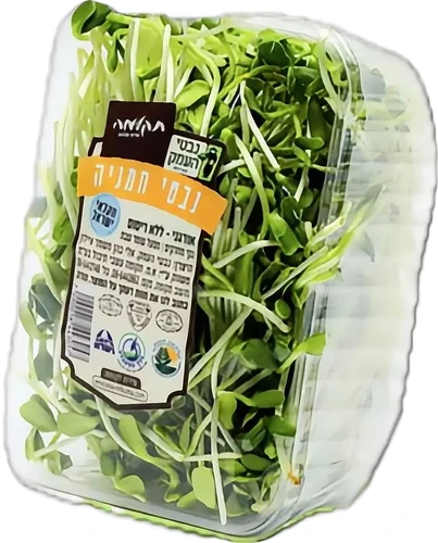 נבטי חמניה