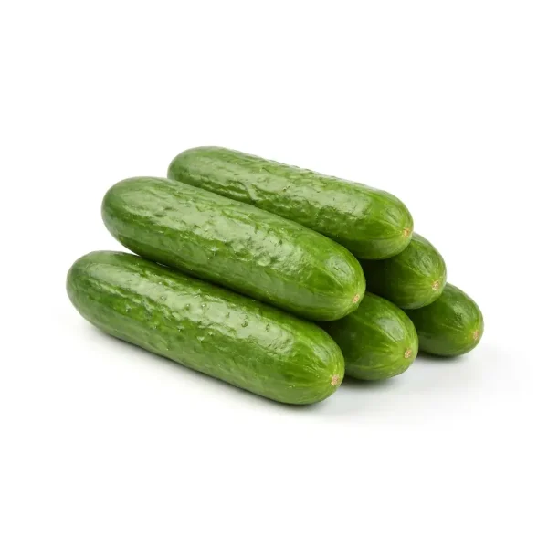 מלפפון
