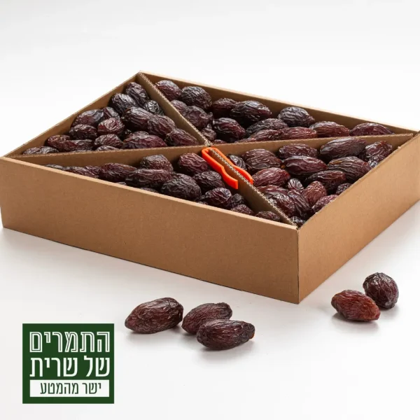 התמרים של שרית תמר מג'הול ישראלי
