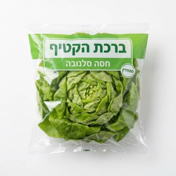 חסה סלנובה מהדרין
